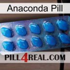 Anaconda Pill viagra1